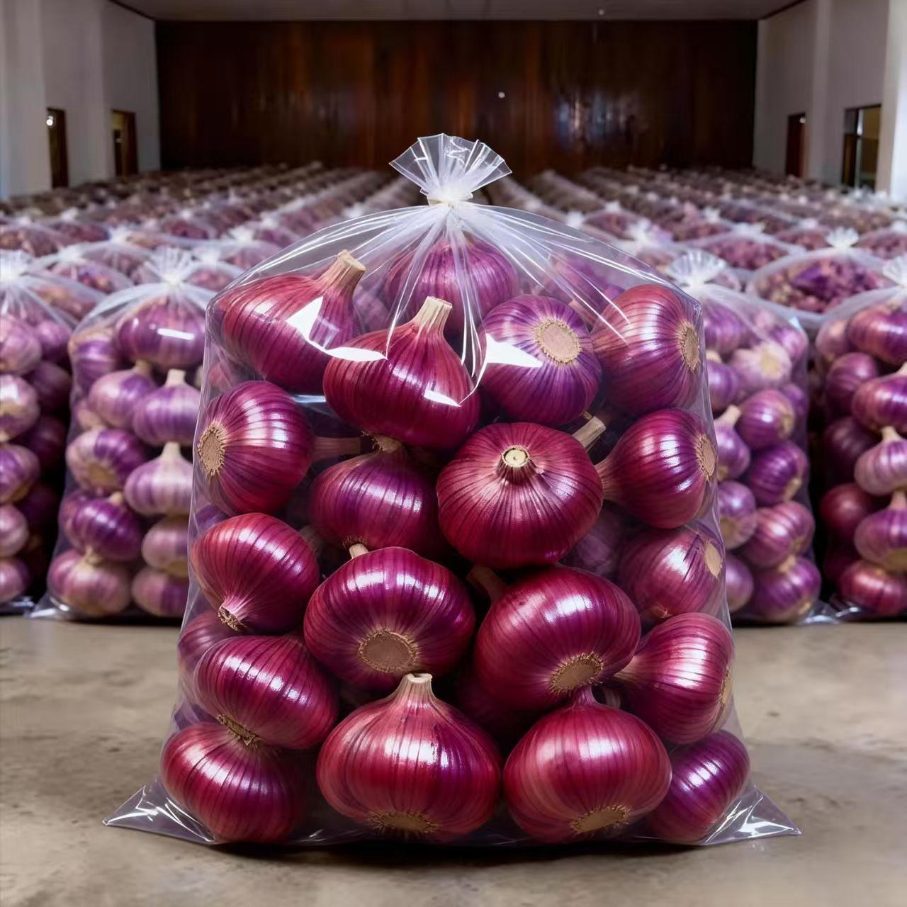 What is the planting area of onions in China?